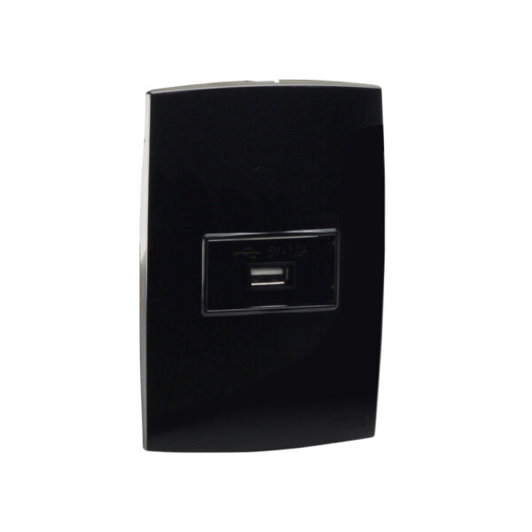 0600200096 - Conjunto Módulo USB 2,4A