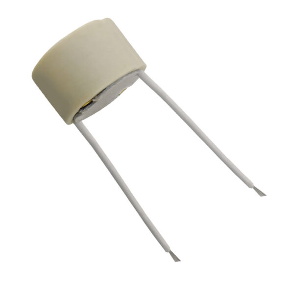 0181500004-Soquete G10 com Rabicho